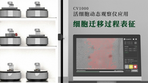 细胞迁移过程表征