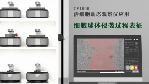 细胞球体侵袭过程表征