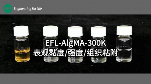 AlgMA-300K表观黏度强度组织粘附