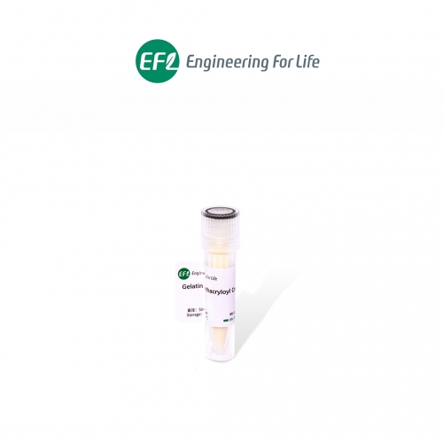 甲基丙烯酰化明胶交联微球Gelatin Methacryloyl Crosslinked Microsphere；GelMA交联微球；EFL-MS-C-GM系列