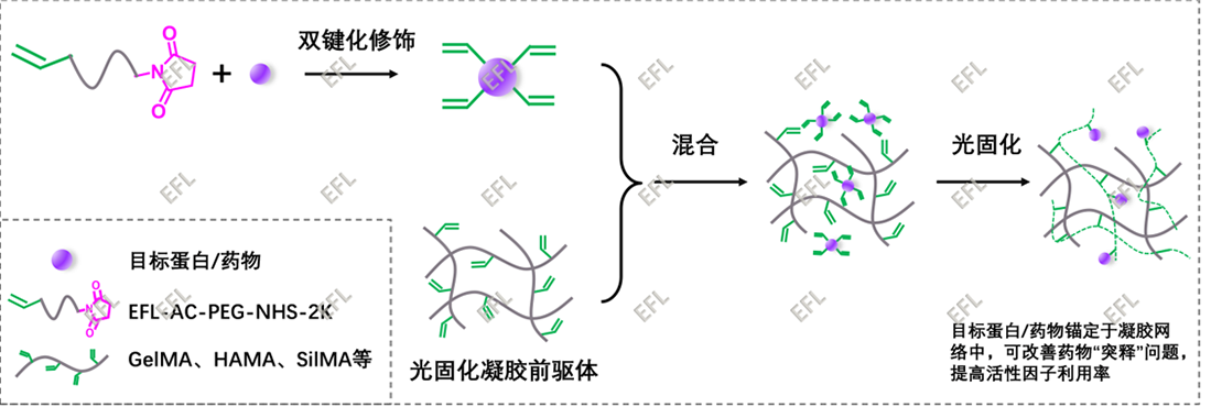 图片2.1.png