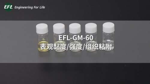 EFL-GM-60 不同浓度下的表观黏度、强度、组织粘附性能